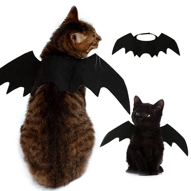 Midnight Bat Wing Harness