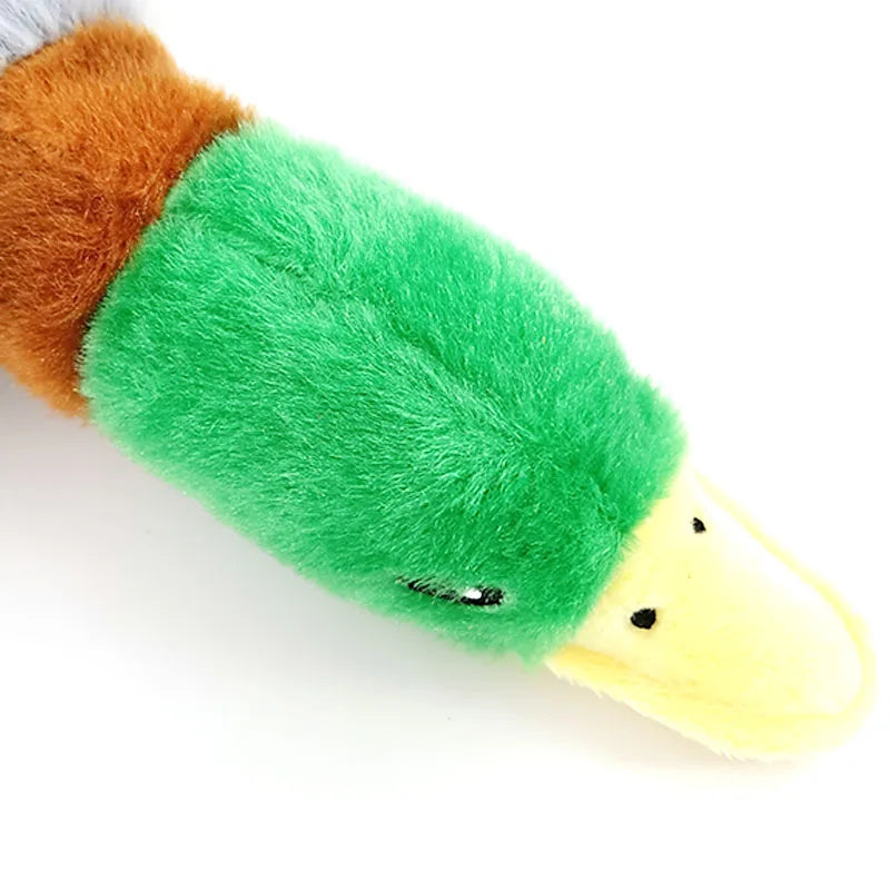 Duck Squeaky