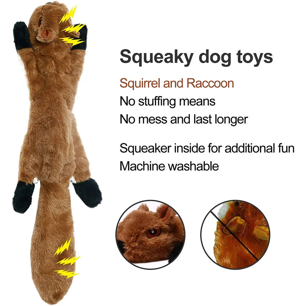 The Bungee Buddy