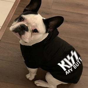 Cheeky Canine Coat in use with a pet