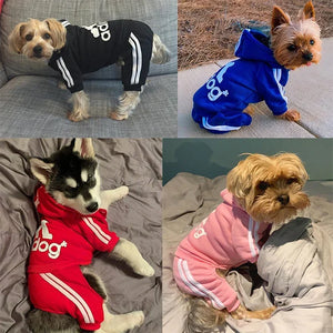 City Strider Sweatsuit shown from another angle