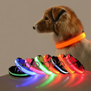 Glow Pup Collar product detail view