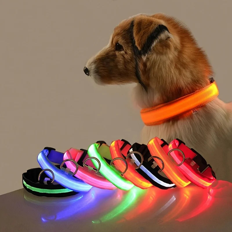 Glow Pup Collar