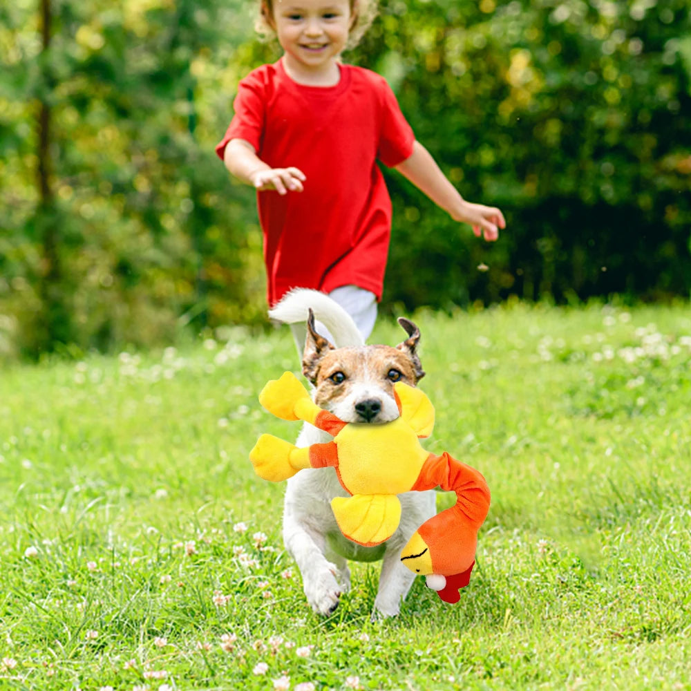 Chicken Toy