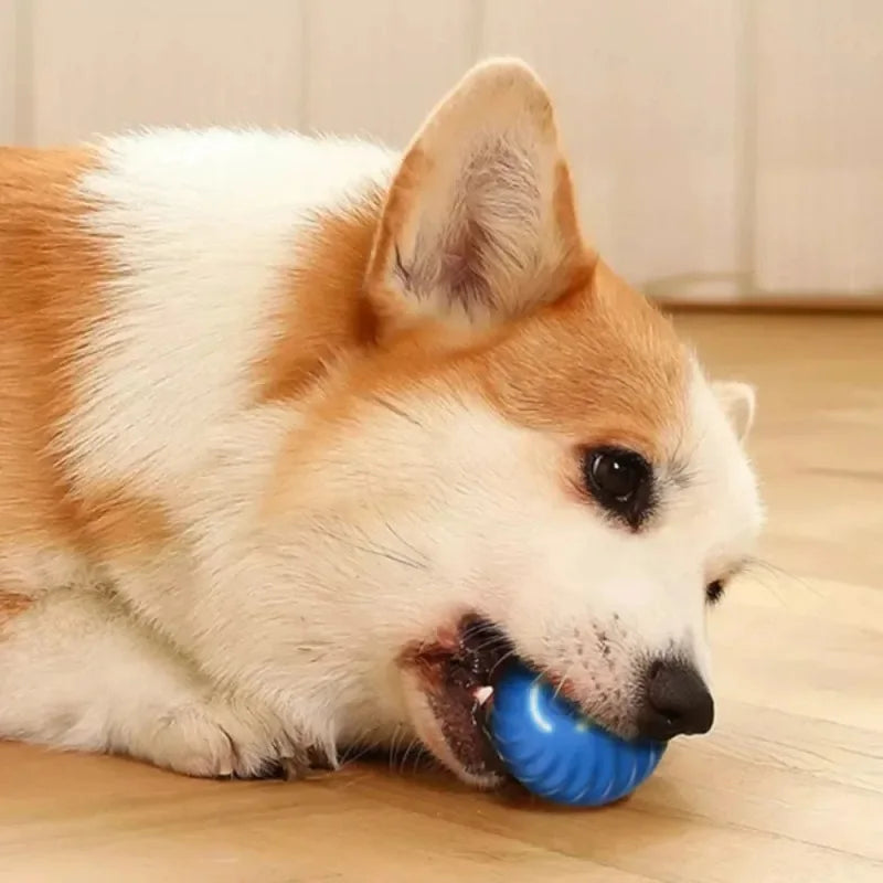 Wagging Wheel