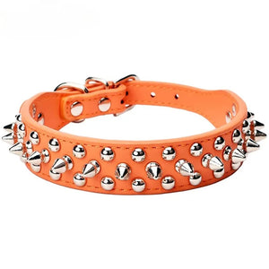 Punk-Pup Spikes in use with a pet