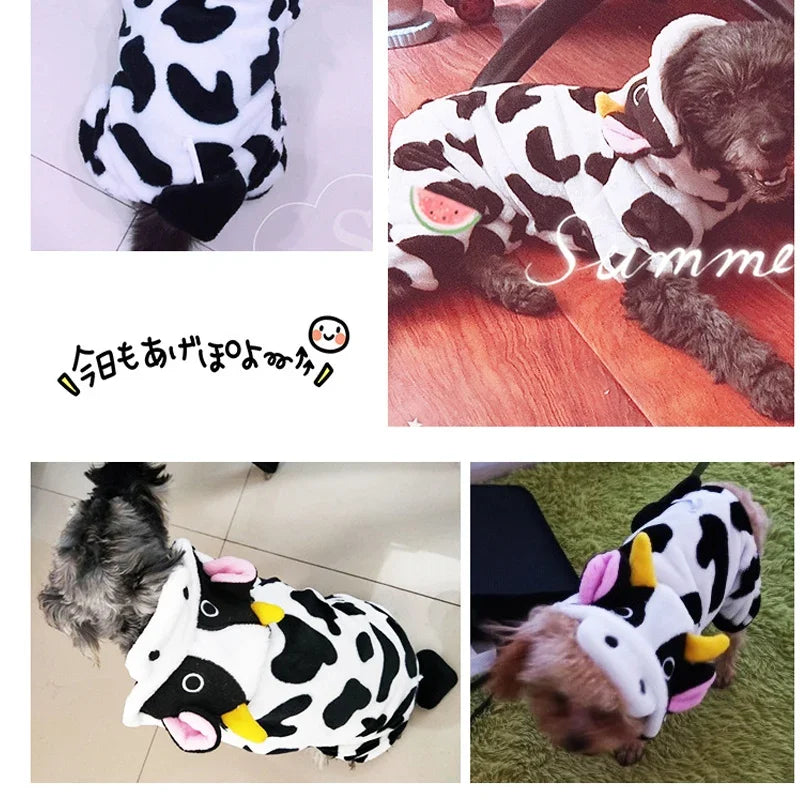 Barnyard & Beyond Suits in use with a pet