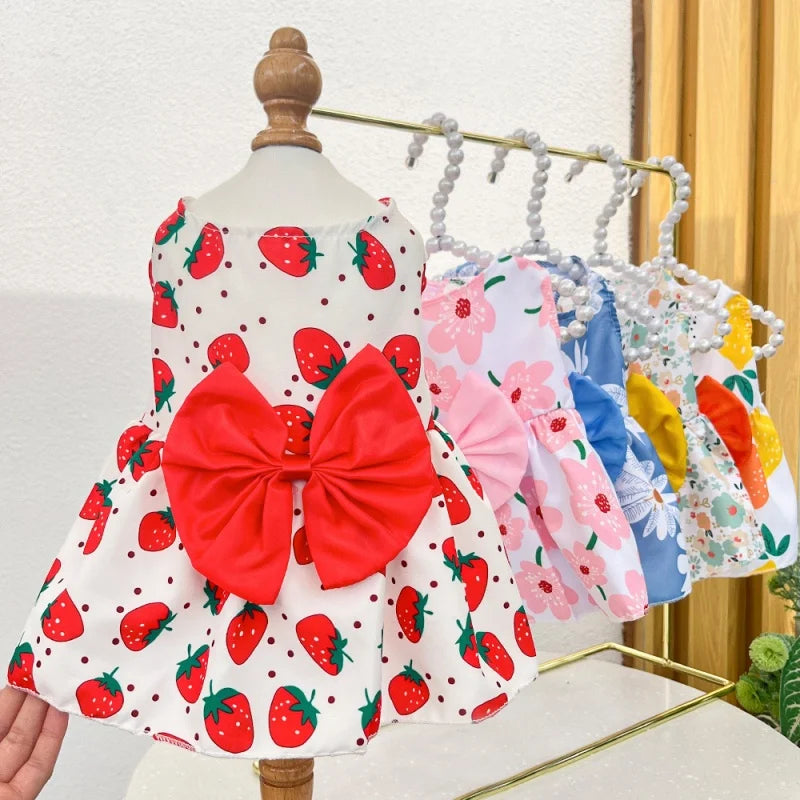 Princess Dress