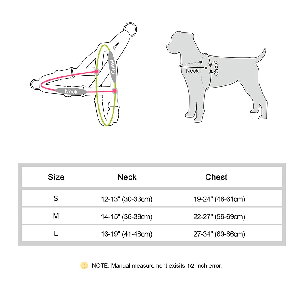 Walk Wise