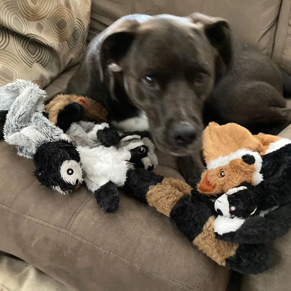 The Bungee Buddy
