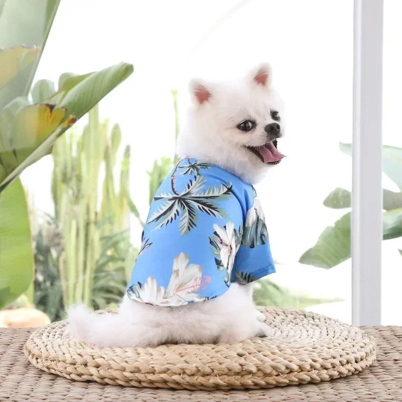 Hawaii Pineapple Shirt color and size options
