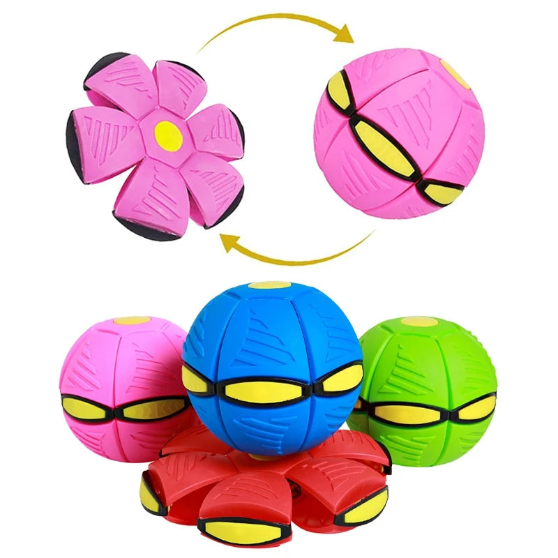 Zoomie Zinger Ball