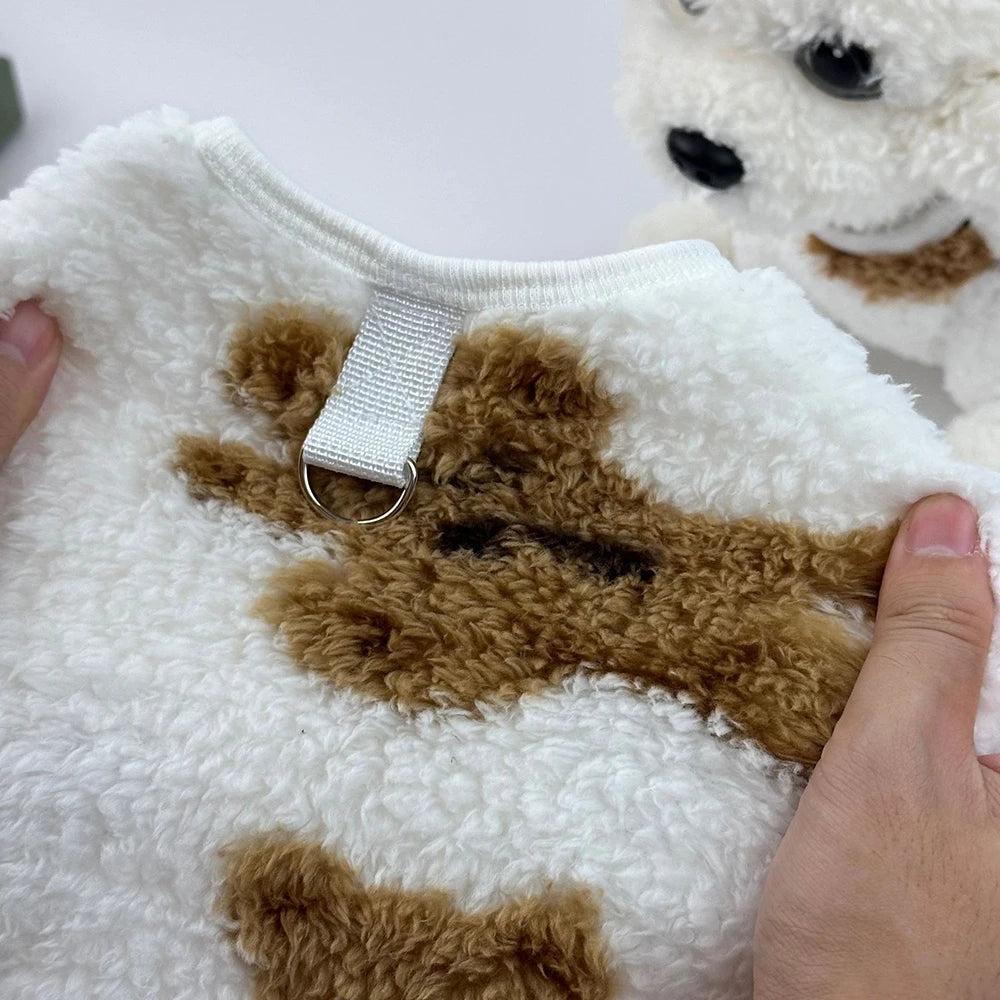 Cute Bear