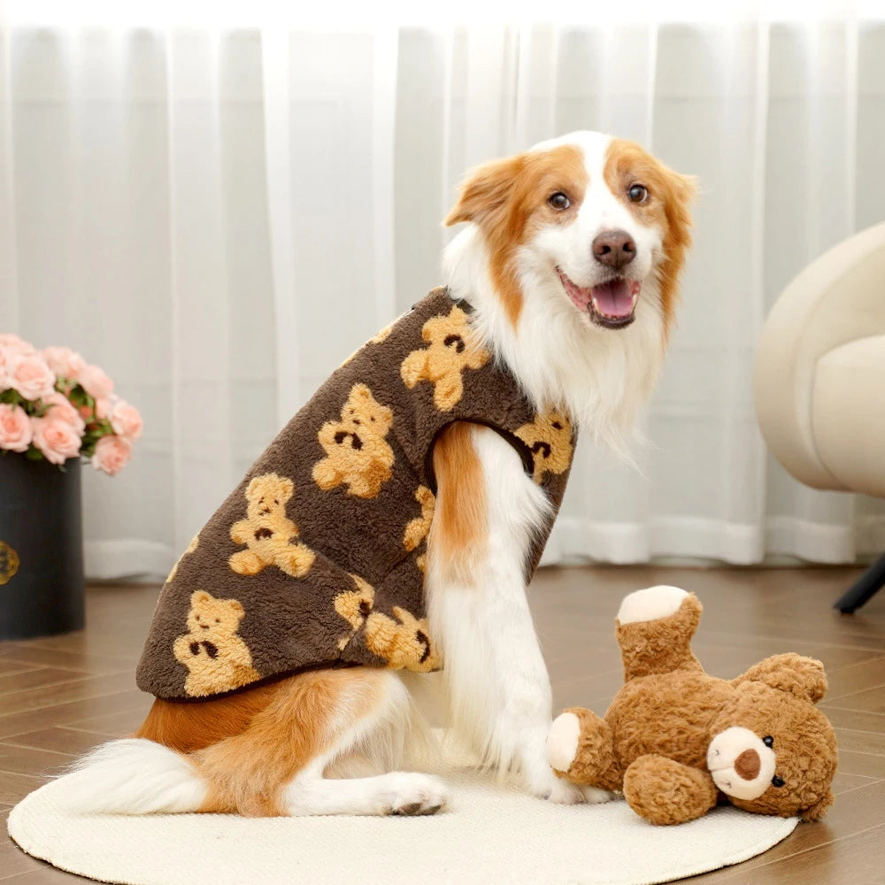 Cute Bear
