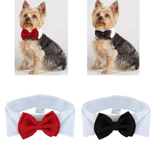 Tie Bow shown from another angle