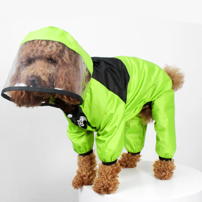 Weather Warrior