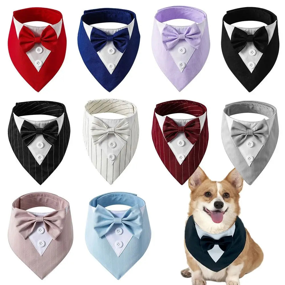 The Distinguished Doggo