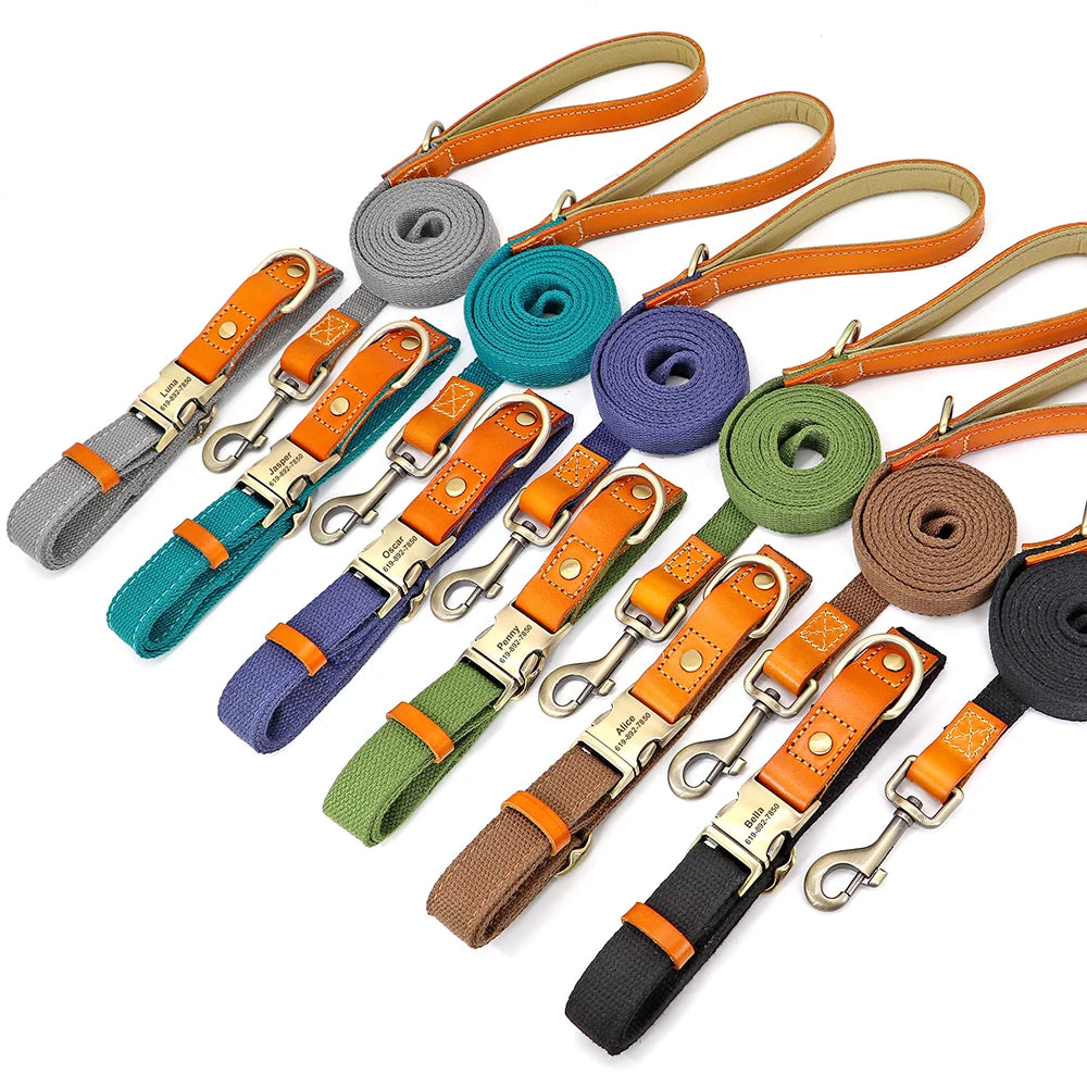 Pop Collar