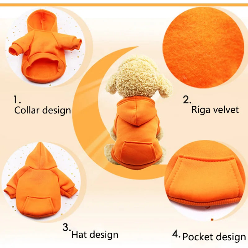 Pocket Paw