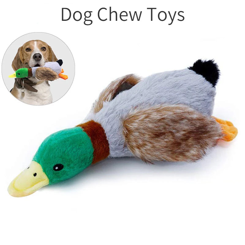 Duck Squeaky