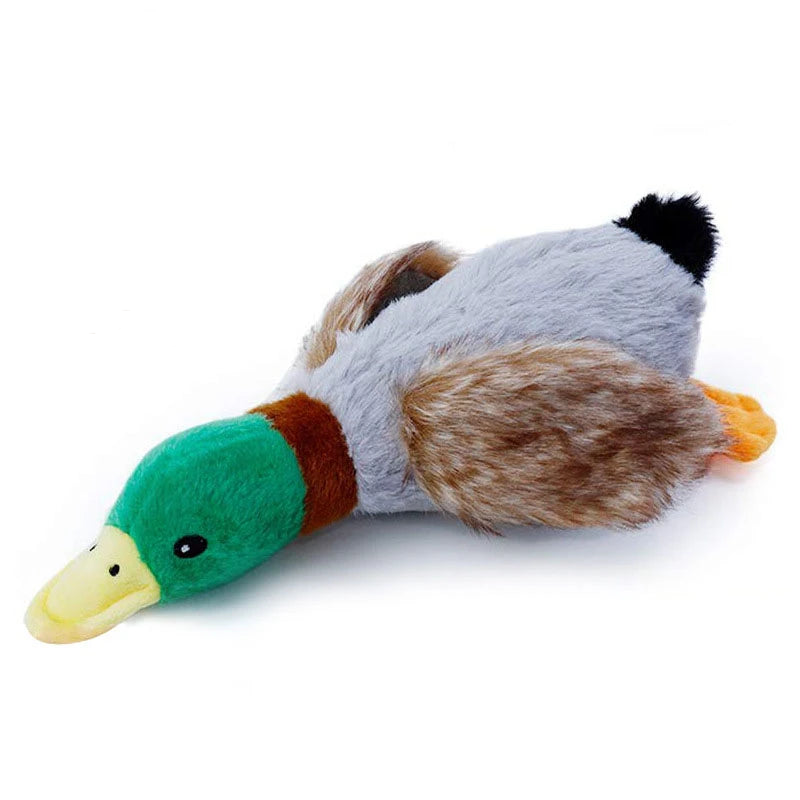 Duck Squeaky