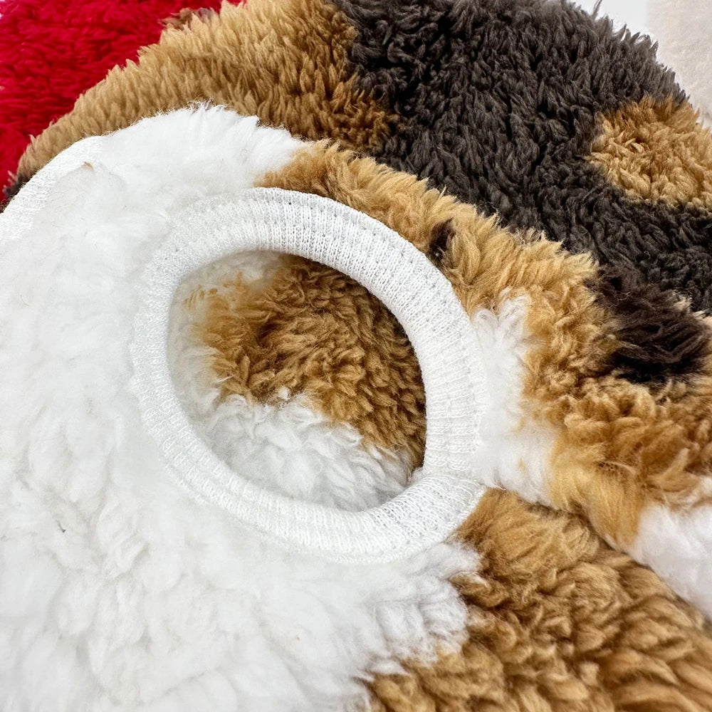 Cute Bear