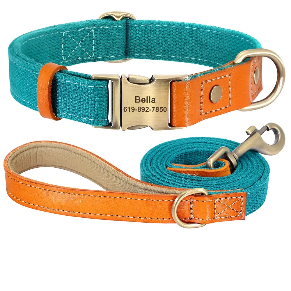 Pop Collar