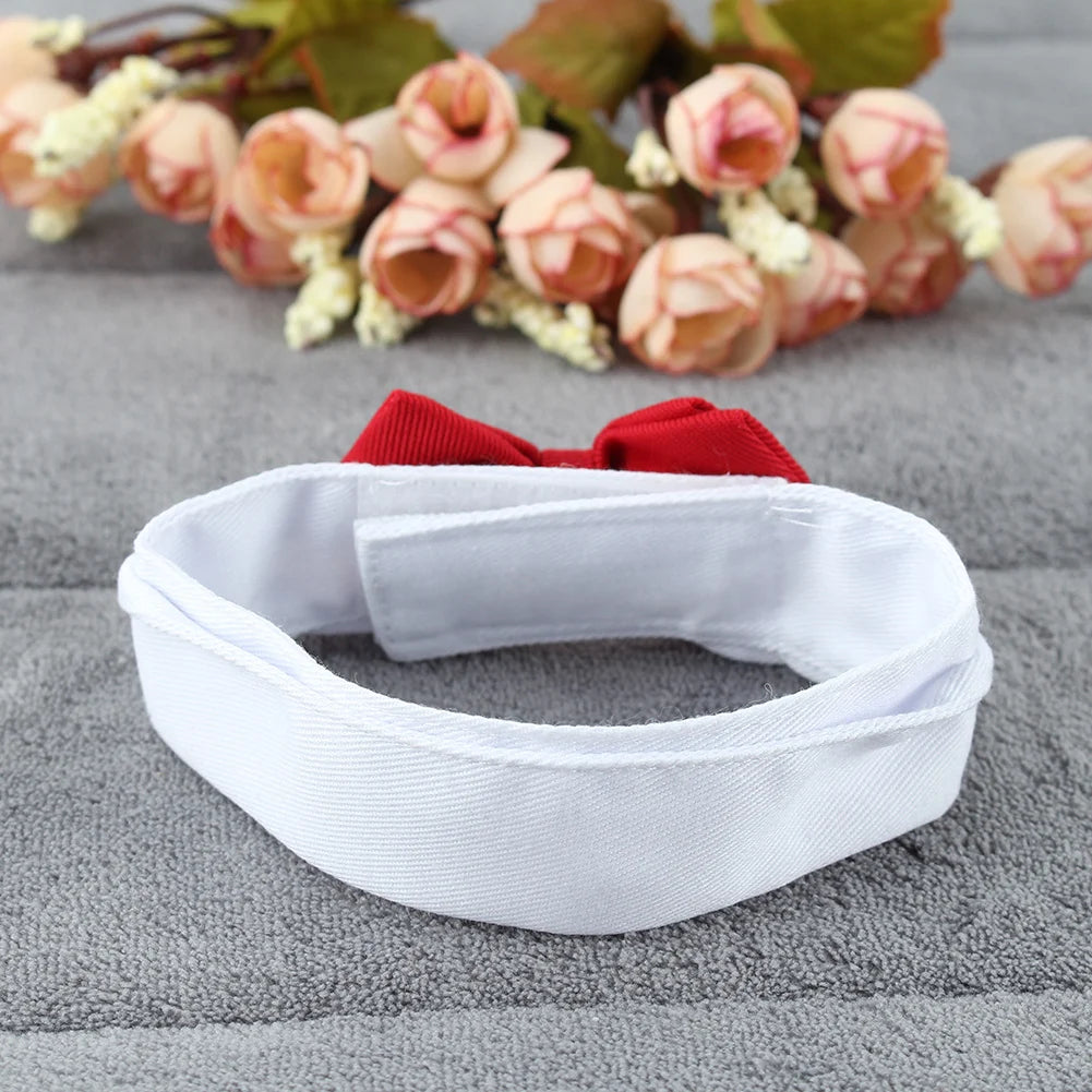 Tie Bow color and size options