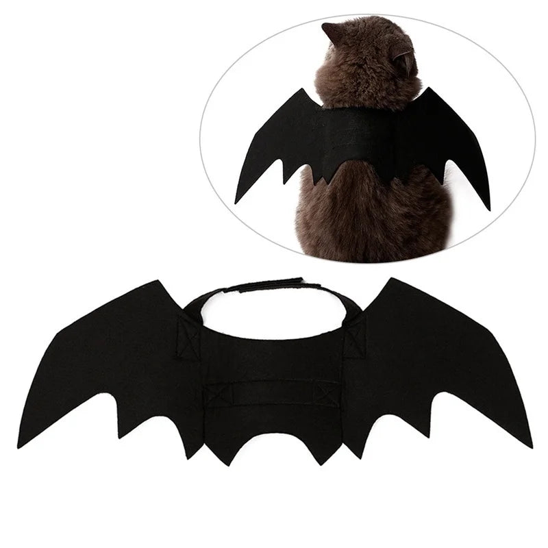 Midnight Bat Wing Harness