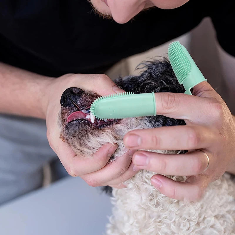 Toothbrush Grip