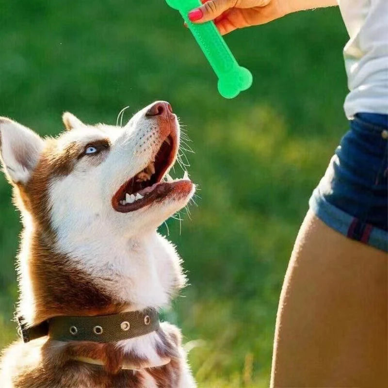 Rubber Bone
