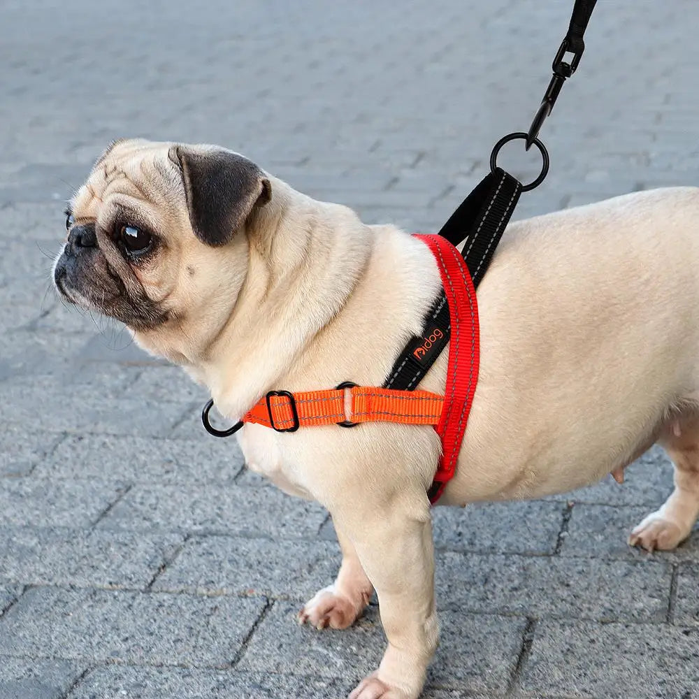 Walk Wise