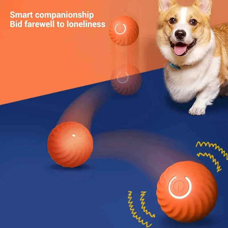Wagging Wheel