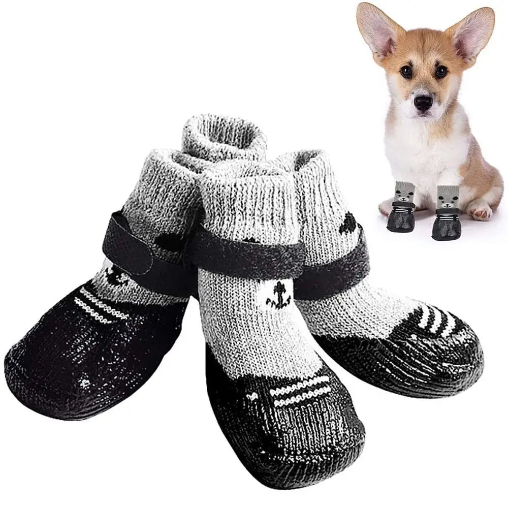 Paw Guard