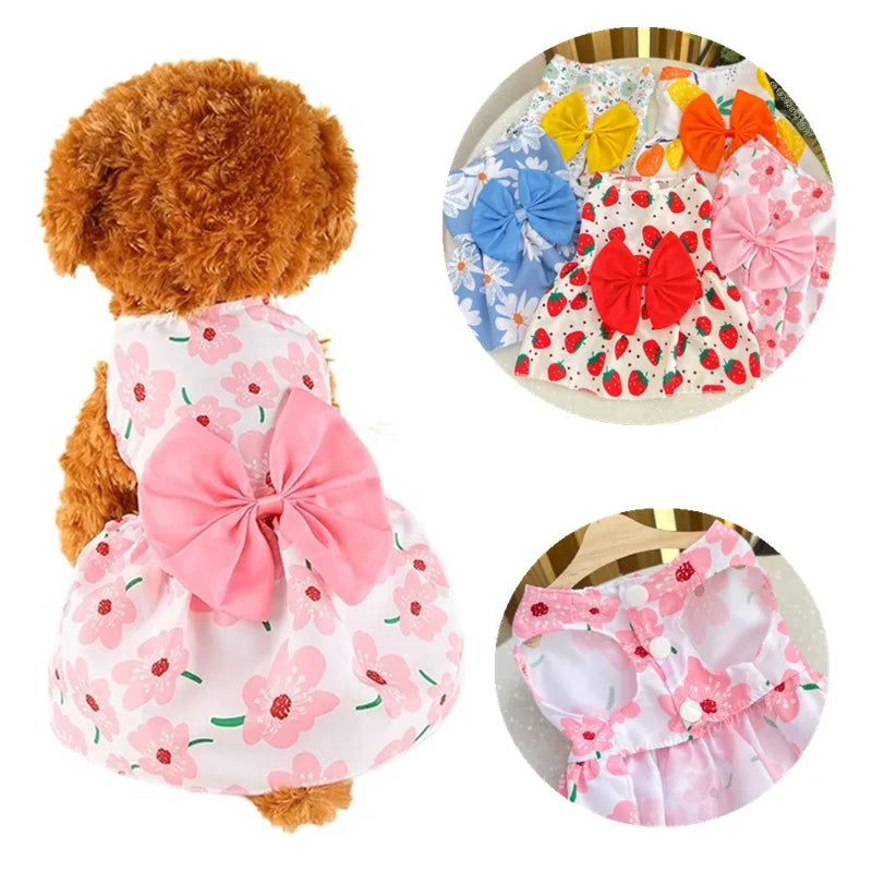 Princess Dress