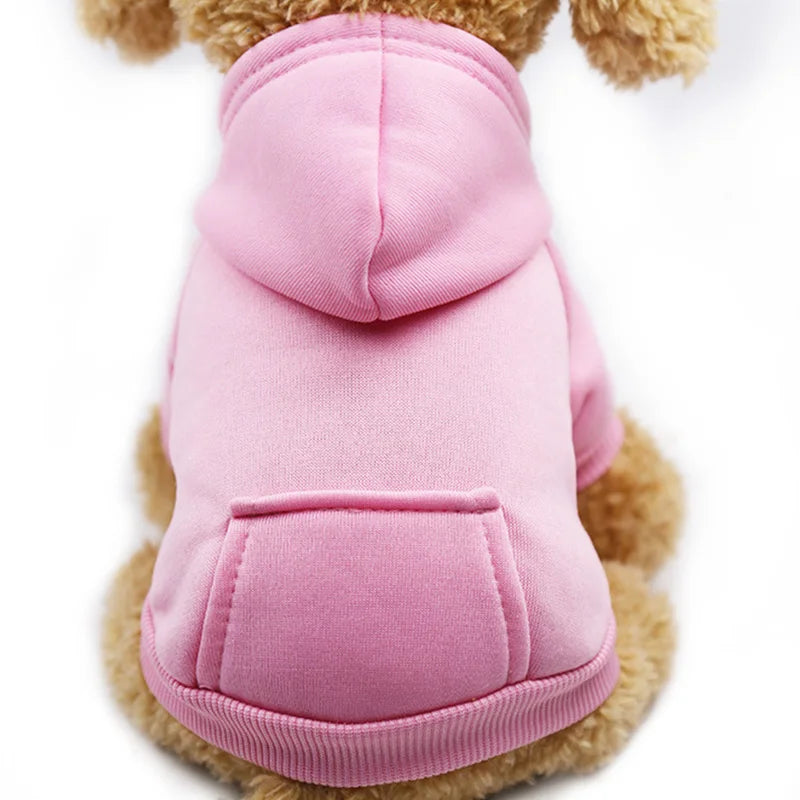 Pocket Paw