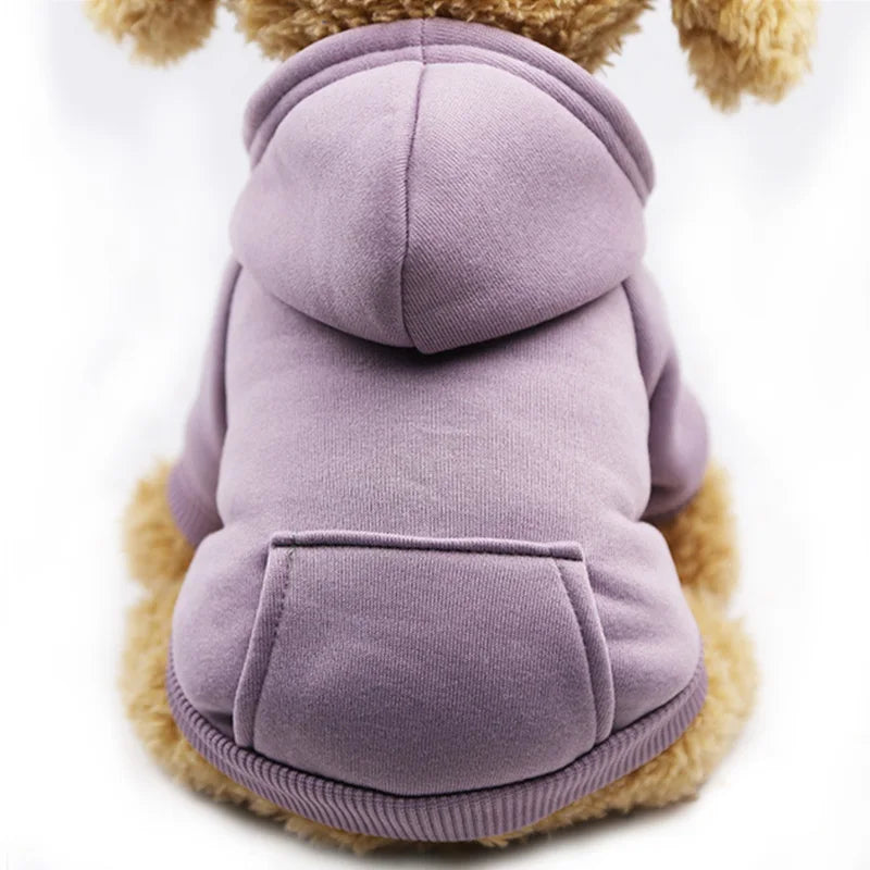 Pocket Paw