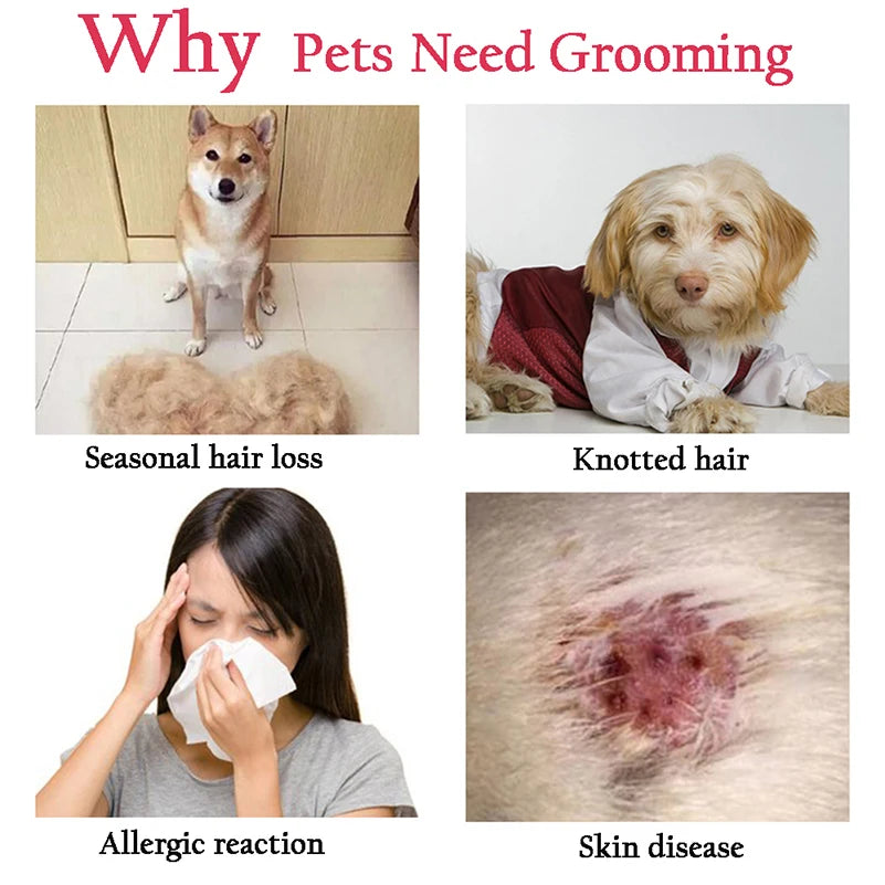 Groom Guru