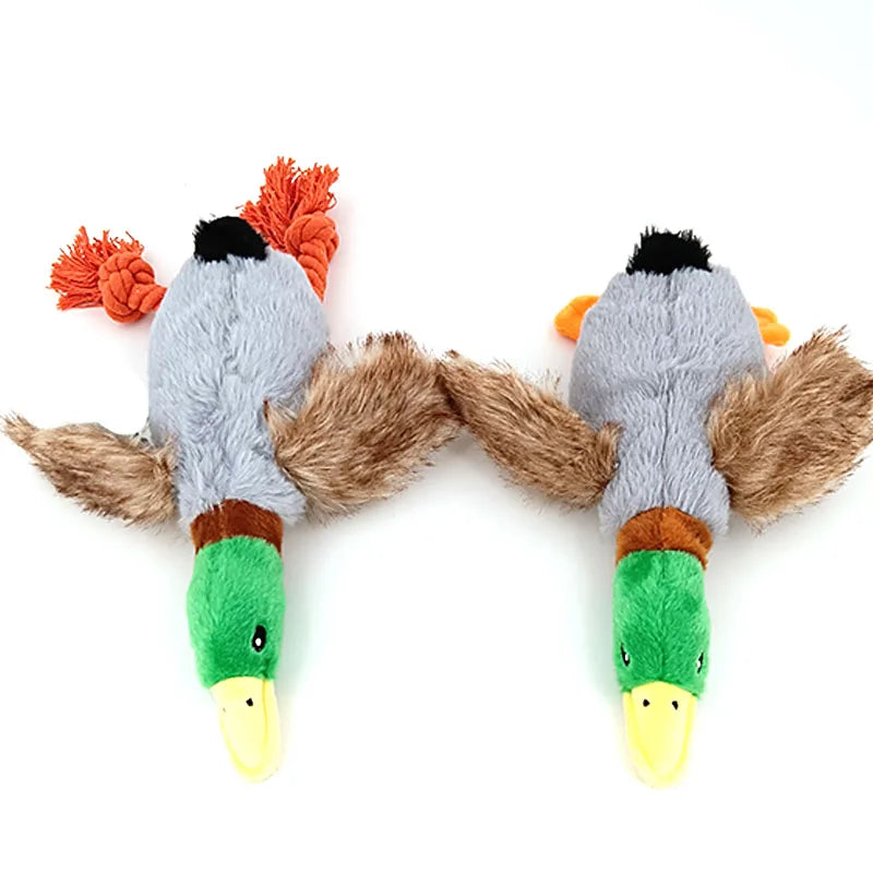 Duck Squeaky