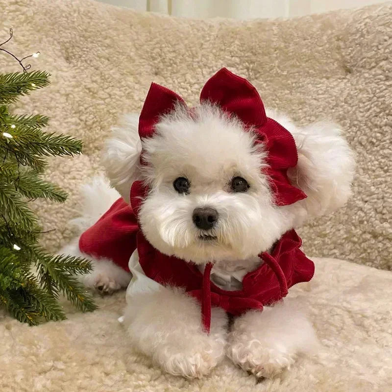 Red Velvet