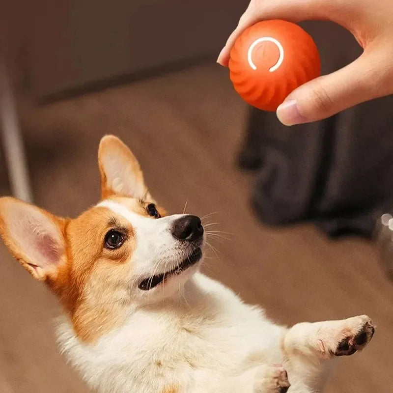 Wagging Wheel