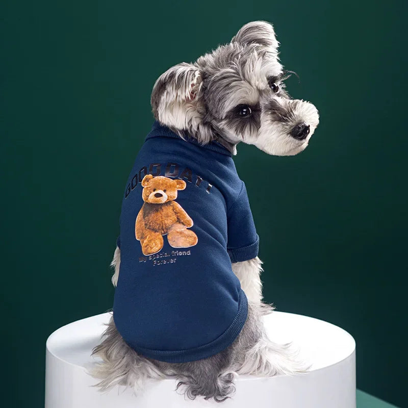 Bear Buddy