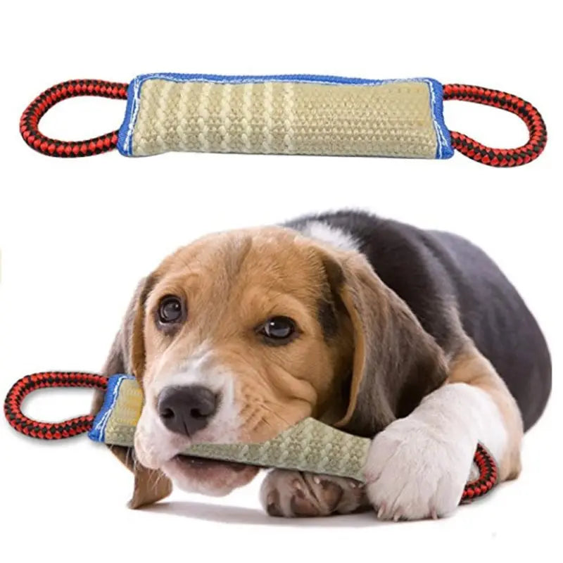 Chewing Toy