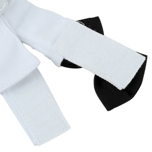 Tie Bow in use with a pet