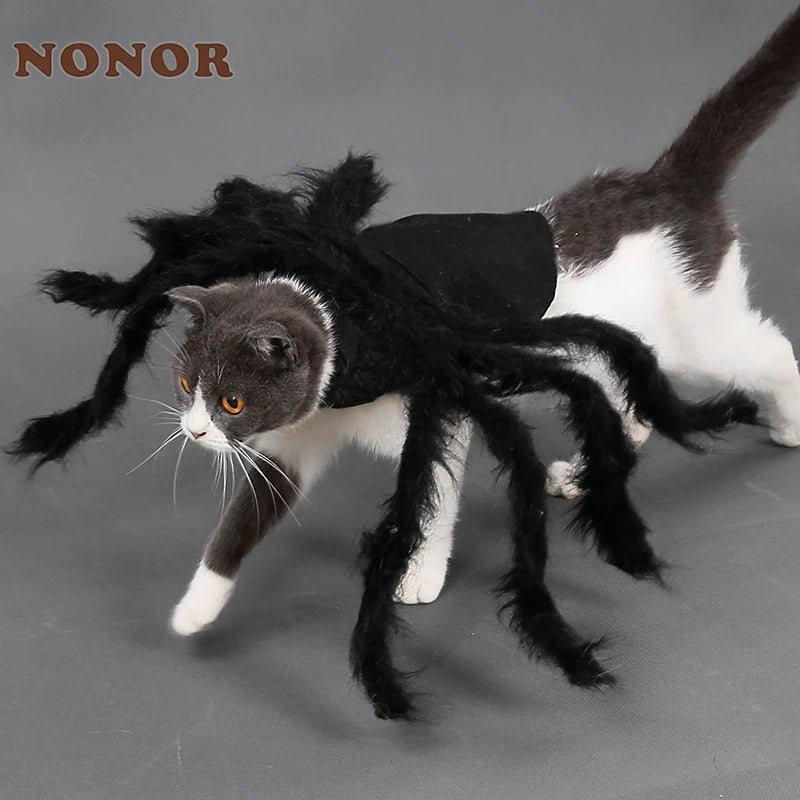 Giant Spooky Spider Outfit