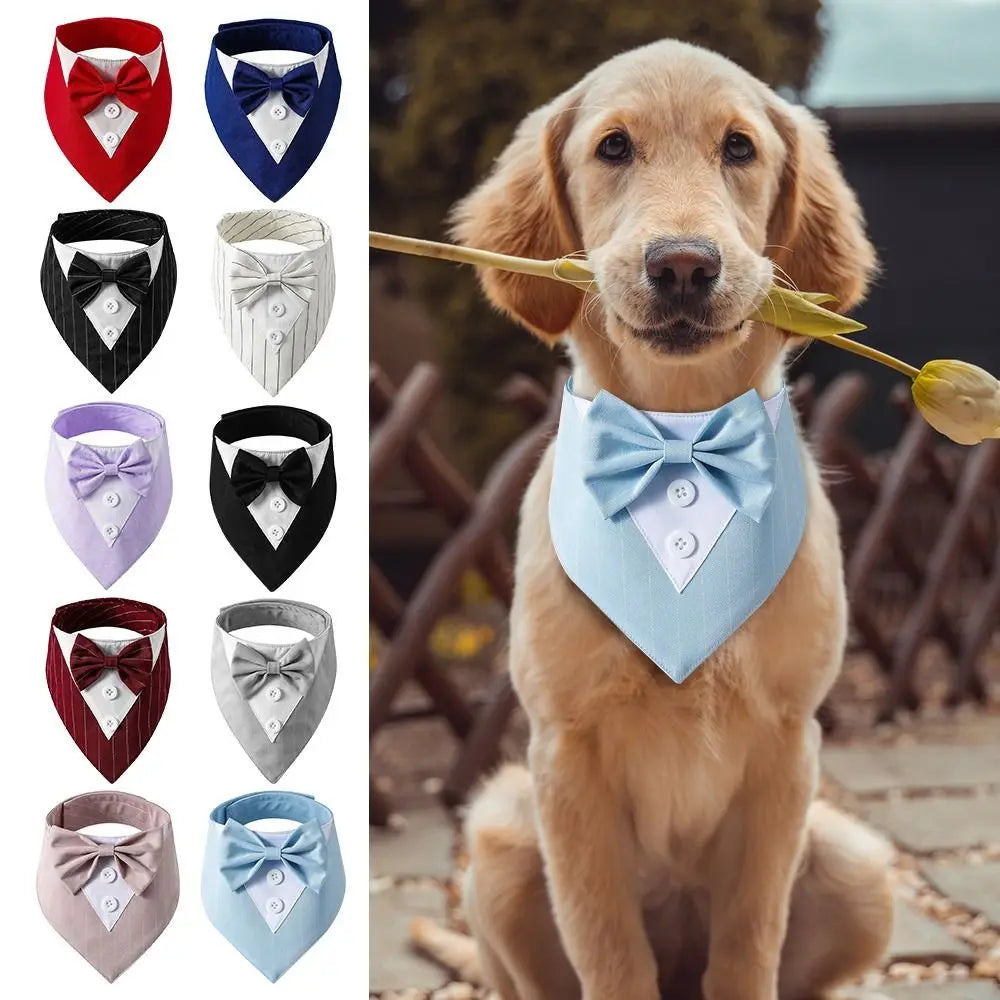 The Distinguished Doggo
