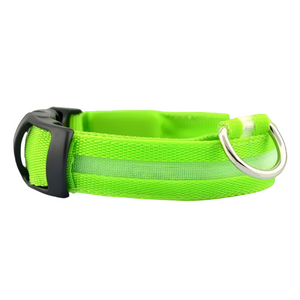 Glow Pup Collar LED light-up safety collar for dogs