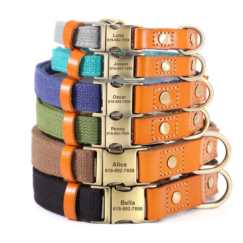 Pop Collar