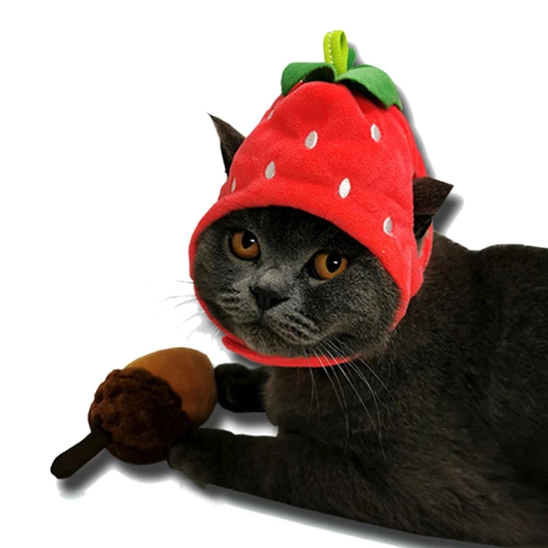 Tutti Frutti Fashion