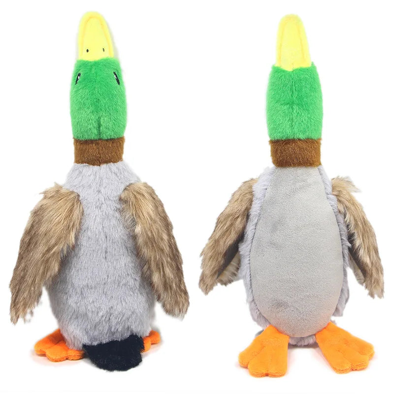 Duck Squeaky